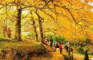 湖北孝感旅游图片,孝感旅游宣传片