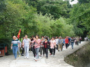 湖北籍游客旅游,湖北省旅游官网