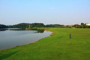 湖北仙湖旅游区,仙湖度假区