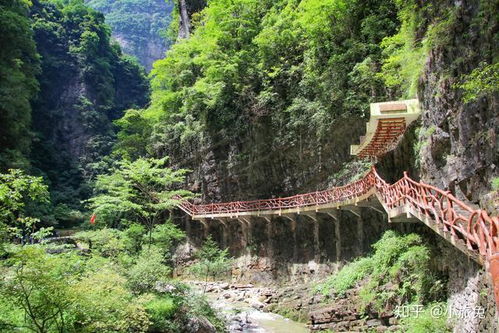 湖北旅游免费小众,湖北游玩免费