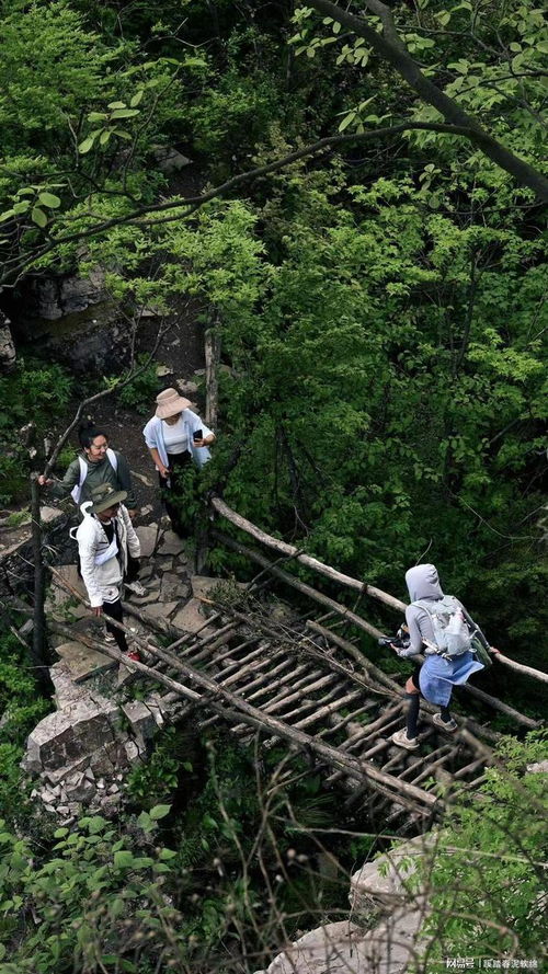 关于湖北旅游的视频,湖北旅游景点视频