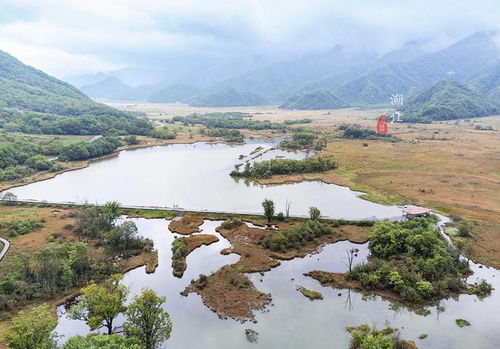湖北最近旅游的地方,湖北近内有哪些能去的旅游景点 湖北最近旅游的地方,湖北近内有哪些能去的旅游景点
