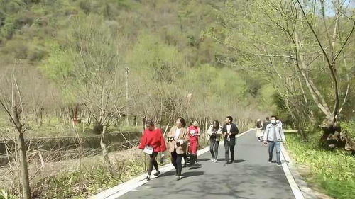 湖北出去旅游需要,去湖北旅游需要健康码吗 湖北出去旅游需要,去湖北旅游需要健康码吗