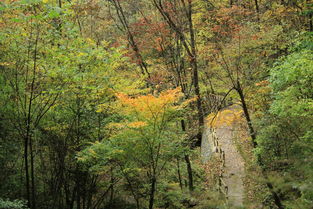 湖北松柏旅游攻略,湖北松柏旅游攻略图