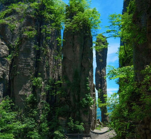 湖北恩施旅游推荐,湖北恩施旅游推荐景区