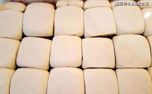 湖北美食像豆腐一样白色,像豆腐一样的白色的豆制品 湖北美食像豆腐一样白色,像豆腐一样的白色的豆制品