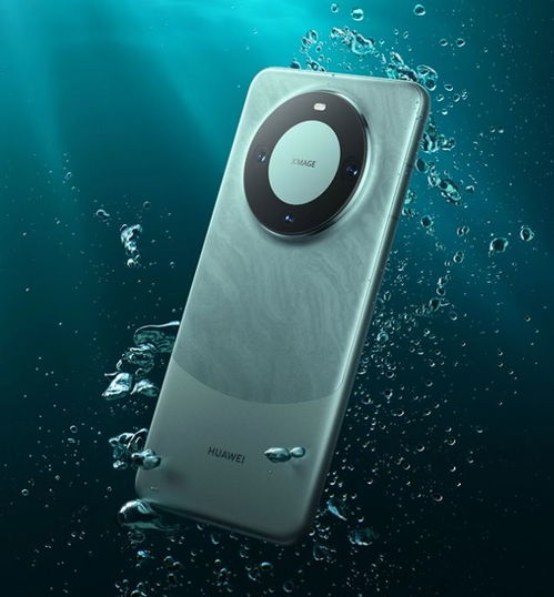 华为mate60超光变主摄,华为mate60超光变摄像头