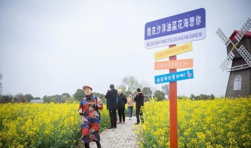 湖北沙洋县旅游,湖北沙洋县旅游景点