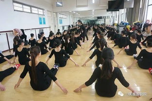 湖北三峡旅游技术学院,湖北三峡旅游技术学院学前教育专科代码