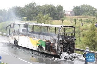 怎么联系湖北旅游客运,怎么联系湖北旅游客运公司