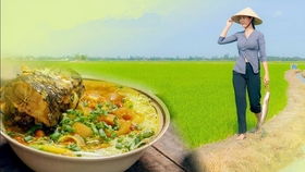 湖北美食珞珈,湖北珞珈律师事务所怎么样