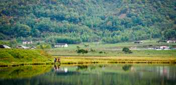 湖北旅游景点神农架天气,湖北神农架一周天气