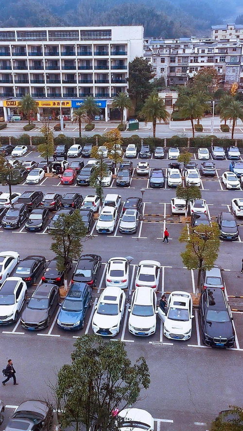 湖北旅游车队现状,湖北旅游车队现状如何