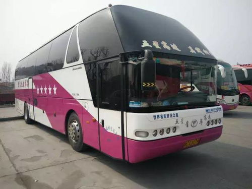 湖北旅游车队现状,湖北旅游车队现状如何