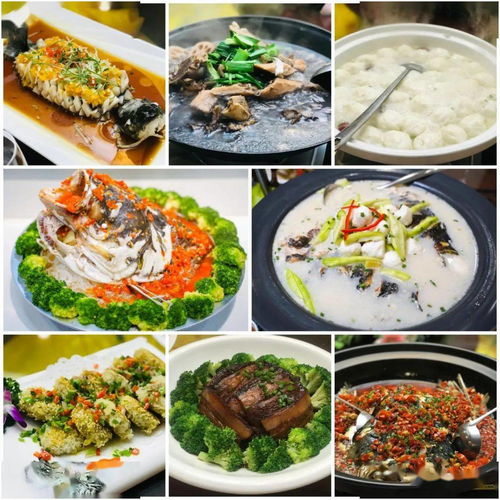 湖北美食打卡主播,湖北美食打卡主播有哪些