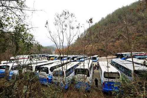 上海游客湖北恩施旅游,湖北恩施旅游团