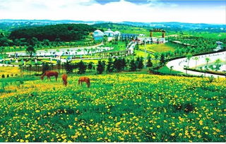 湖北环投旅游,湖北环投旅游开发公司