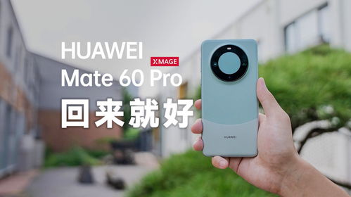 雷蒙多看到华为mate60反应,雷蒙多 华为