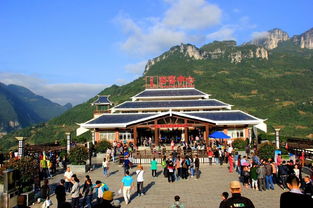 湖北恩施旅游伤游客,湖北恩施旅游优惠政策