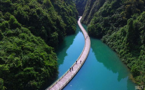 湖北朱河旅游,朱河有什么好玩的地方