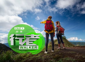 户外旅游直播湖北,户外旅游综艺节目 户外旅游直播湖北,户外旅游综艺节目