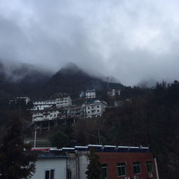 湖北神龙架旅游攻略,湖北神龙架旅游攻略自助游路线