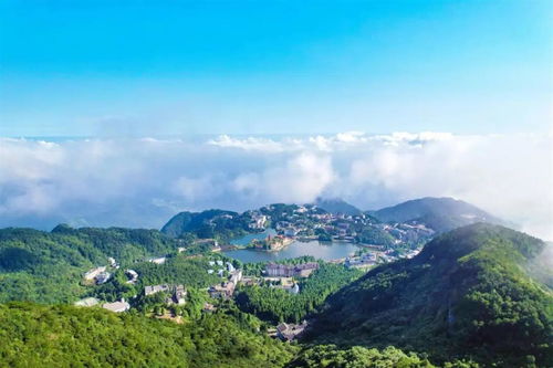 湖北旅游免费人多吗,湖北旅游景点免票吗