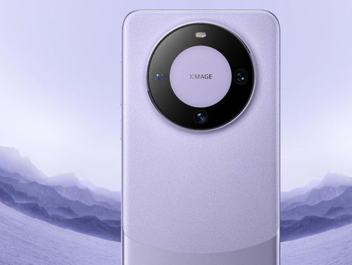 关于华为mate60事件概括的信息