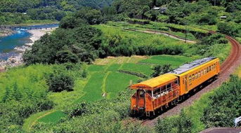 湖北乡村旅游火车,湖北大山里的火车