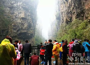 春节湖北省旅游,春节湖北旅游地方