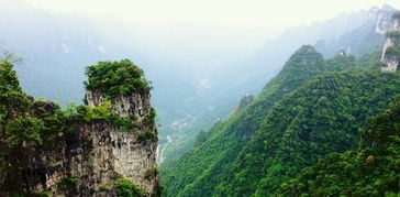 旅游日湖北旅游免费吗,旅游日湖北旅游免费吗现在