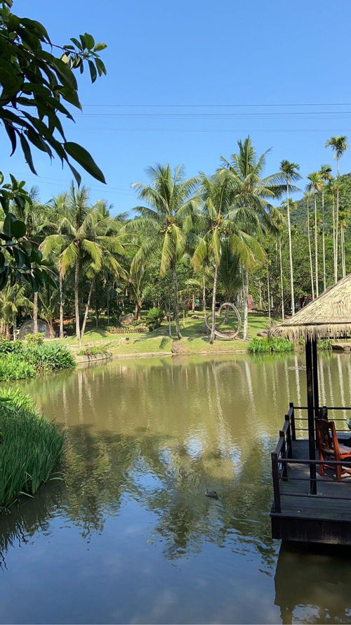 湖北来海南旅游,湖北来海南旅游要隔离吗