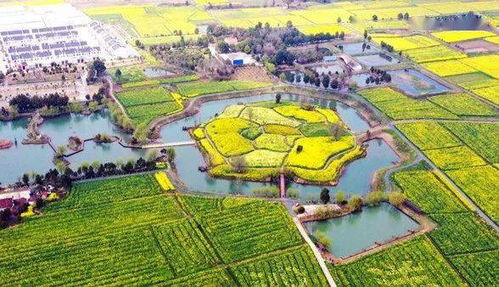 近期湖北旅游免费景点,2021湖北免费旅游 近期湖北旅游免费景点,2021湖北免费旅游