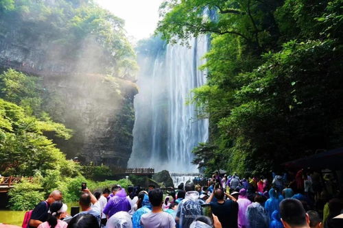 湖北免费旅游现状,湖北免费旅游现状调查