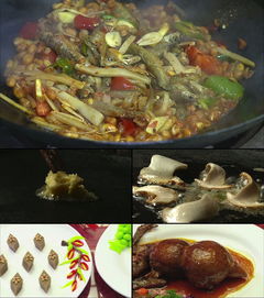 湖北美食介绍视频素材网,湖北美食介绍视频素材网下载 湖北美食介绍视频素材网,湖北美食介绍视频素材网下载