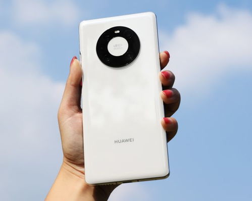 华为mate60拍照水平,华为mate40拍照水平