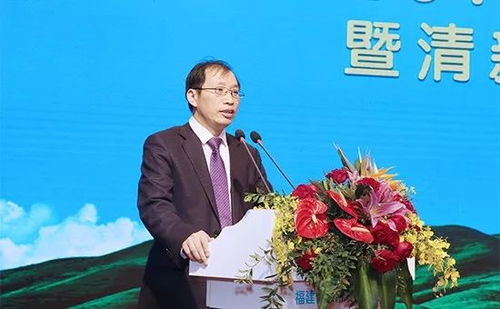 湖北旅游投资周文霞,湖北省文化旅游投资集团有限公司副总经理