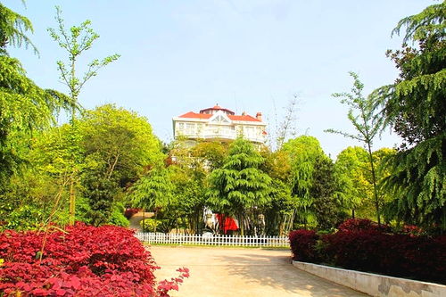 湖北新闻中山公园文明旅游,武汉中山公园官网