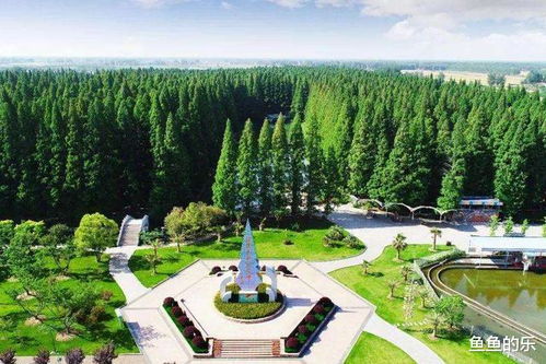 湖北新闻中山公园文明旅游,武汉中山公园官网