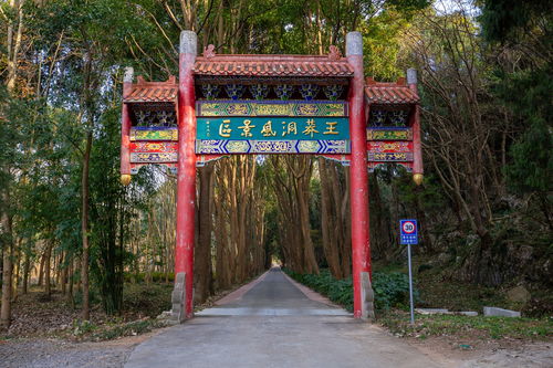 湖北荆门旅游搭子,荆门自驾游组织 湖北荆门旅游搭子,荆门自驾游组织