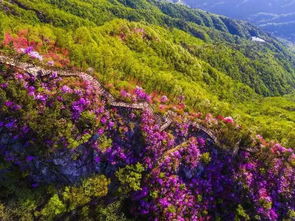 湖北英山旅游景区攻略,湖北英山景点介绍