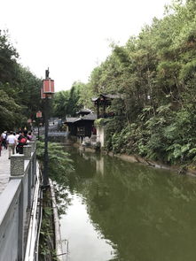 重庆到湖北旅游,重庆到湖北旅游攻略