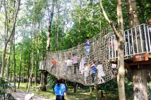 湖北下仙桃旅游,湖北仙桃旅游团有哪些