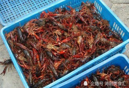 10亿小龙虾出湖北美食,湖北有小龙虾