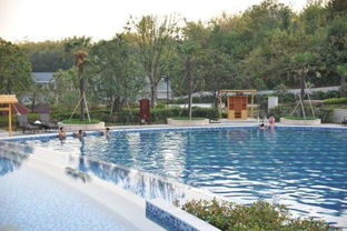 湖北哪些市旅游好,湖北哪些市旅游好玩