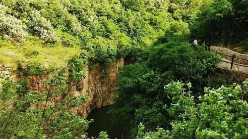 春节旅游湖北哪里好玩,春节湖北哪里好玩景点排名