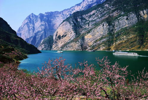 湖北三峡旅游集团停牌了吗,湖北三峡旅游集团是国企吗