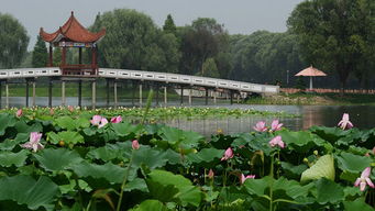 湖北洪湖旅游地图,湖北洪湖景区游玩攻略