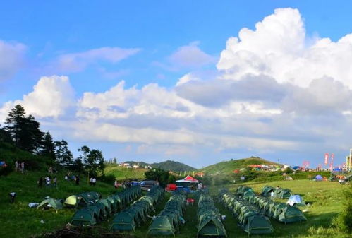 湖北宣恩盛夏旅游,湖北宣恩盛夏旅游景点介绍