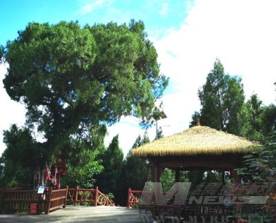 湖北创建国家级旅游度假区,湖北省级旅游度假区